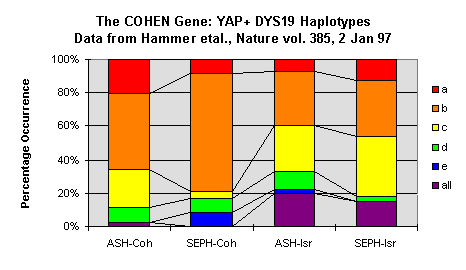 The 
COHEN Gene: YAP+ DYS19 Haplotypes